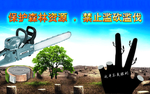 森林资源挂图