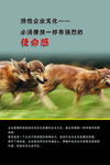狼性团队挂图