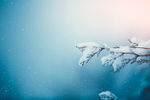 雪景