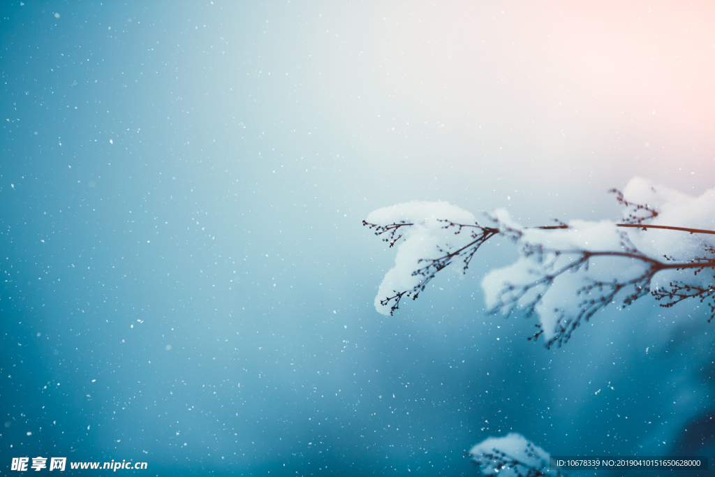 雪景