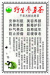 中国茶文化