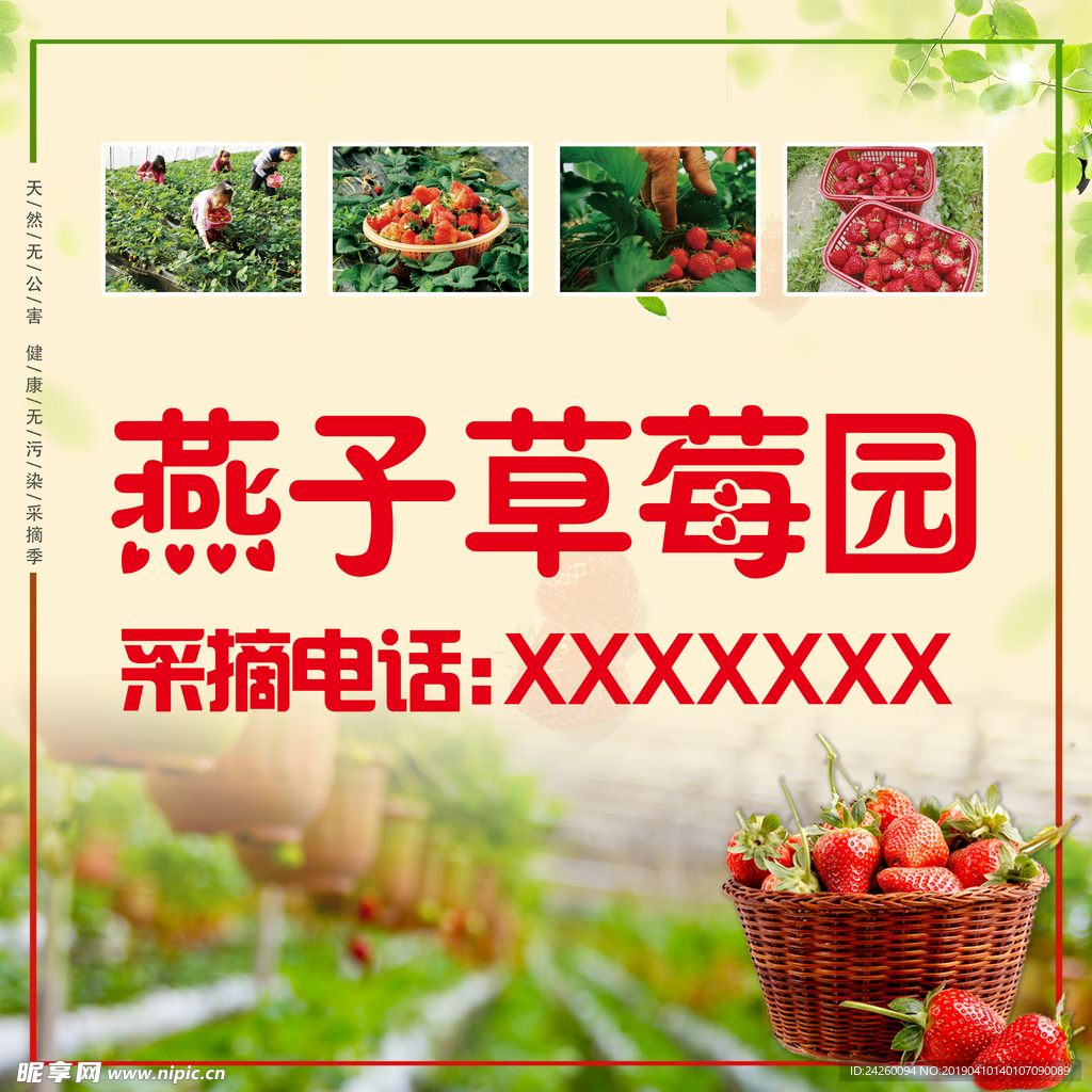草莓采摘园