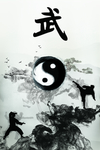 中国武术背景