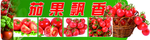 茄果飘香