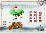 伟文装饰  中药养生 药材 三