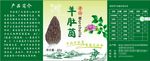 羊肚菌