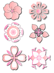 粉色花朵