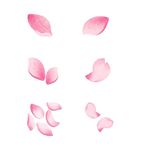 花瓣素材
