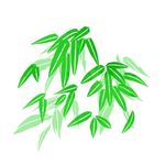 竹子