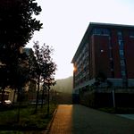 清晨阳光
