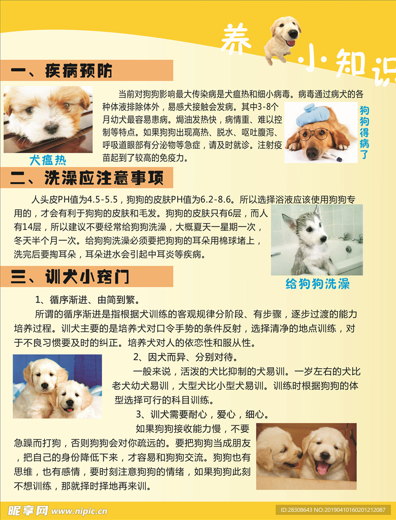 养狗小知识