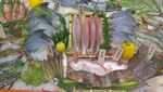 海鲜 食材 海鱼 鱼类 海虾