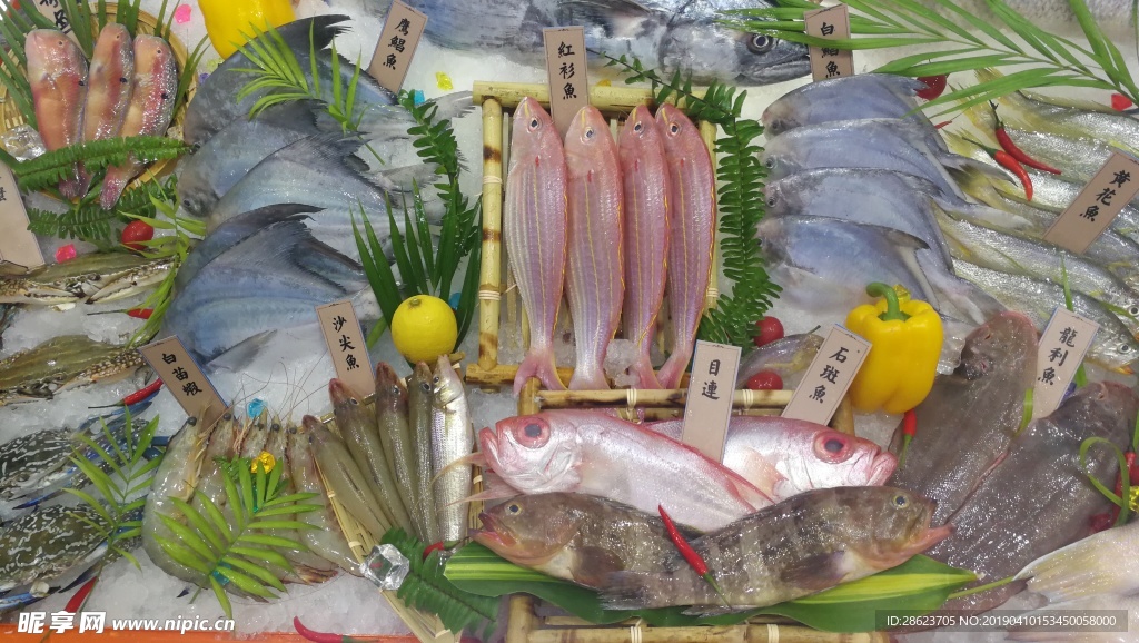海鲜 食材 海鱼 鱼类 海虾