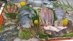 海鲜 食材 海鱼 鱼类 海虾