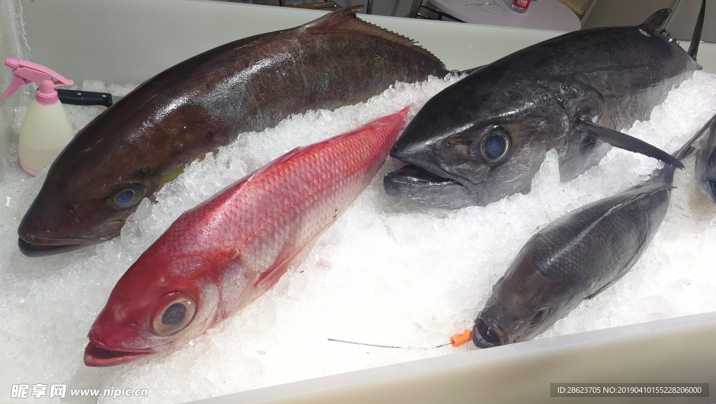 海鲜 食材 海鱼 鱼类 海虾