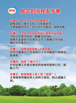 晨会流程五步骤