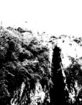 山洞