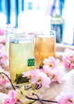 日式茶饮 樱花 摄影