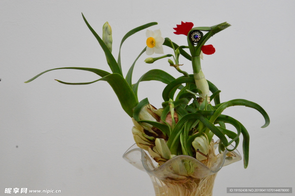 水仙花