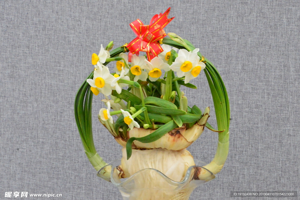 水仙花