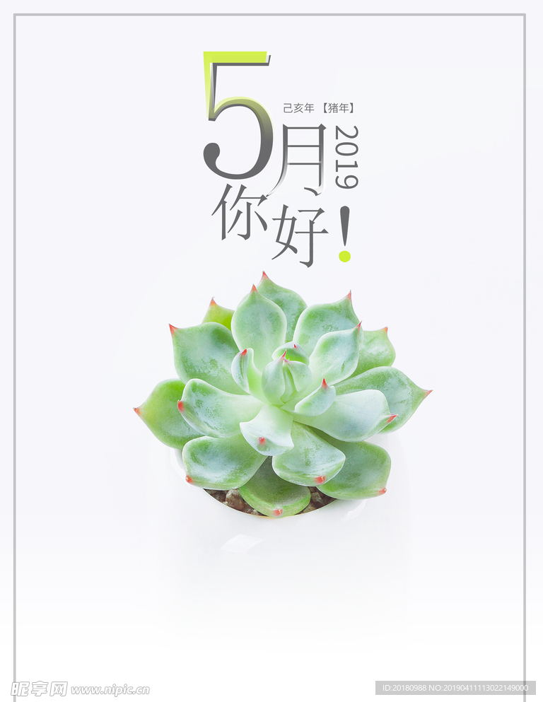 5月你好