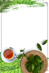 新茶