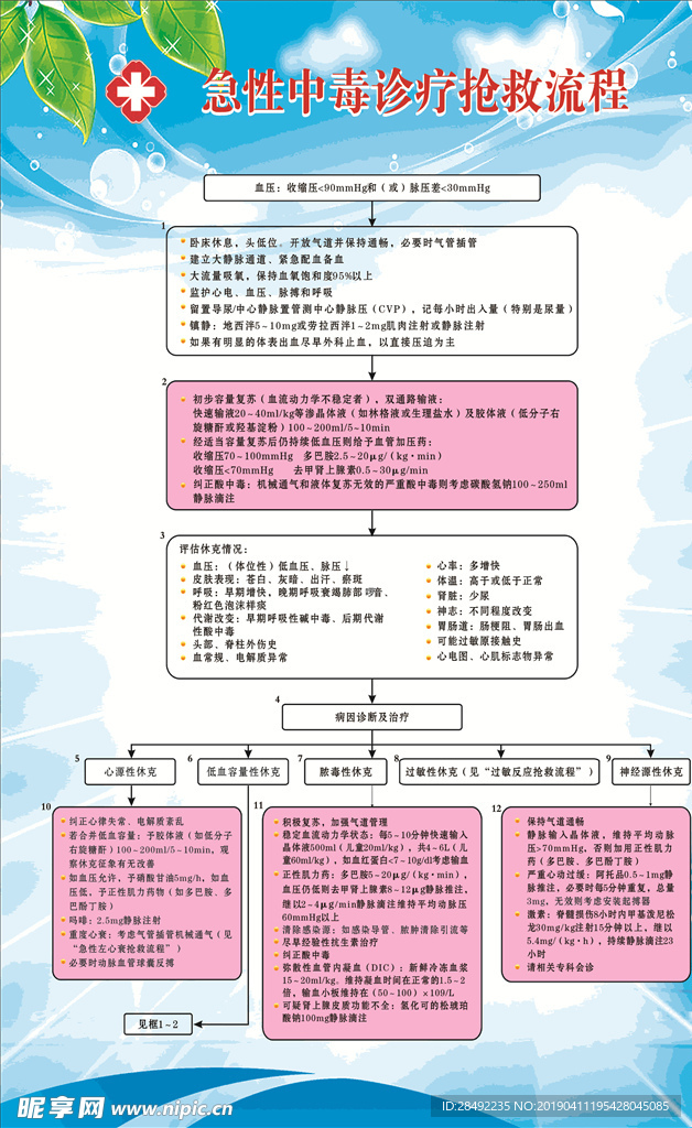 急性休克抢救流程