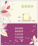 花卉名片