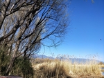 大理洱海 苍山洱海 云南洱海