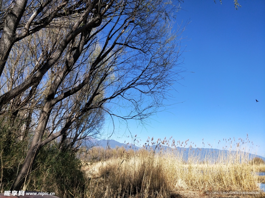 大理洱海 苍山洱海 云南洱海