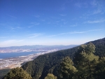 大理洱海 苍山洱海 海鸥 云南