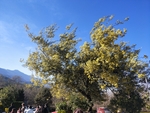 大理洱海 苍山洱海 云南洱海
