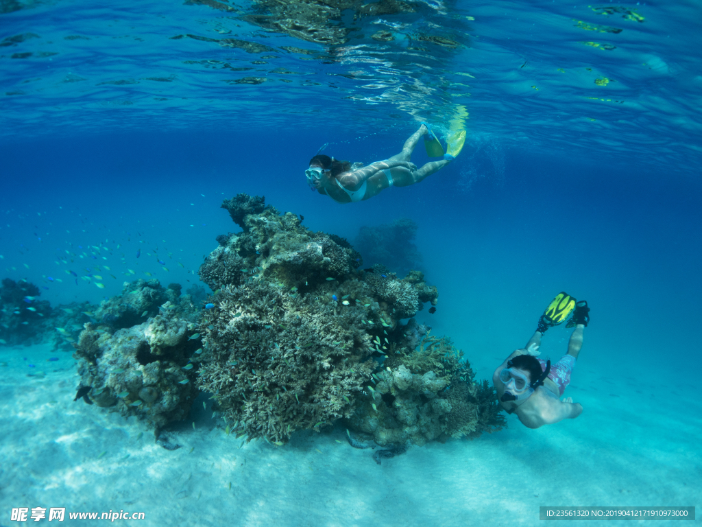 热带海岛浮潜