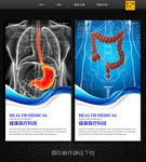 肠胃海报
