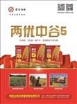 谷子宣传单页