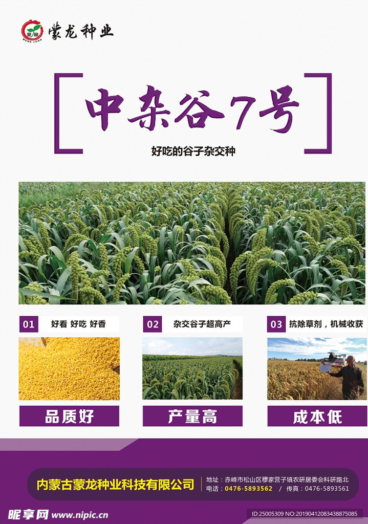 谷子DM单