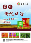 杂志插页