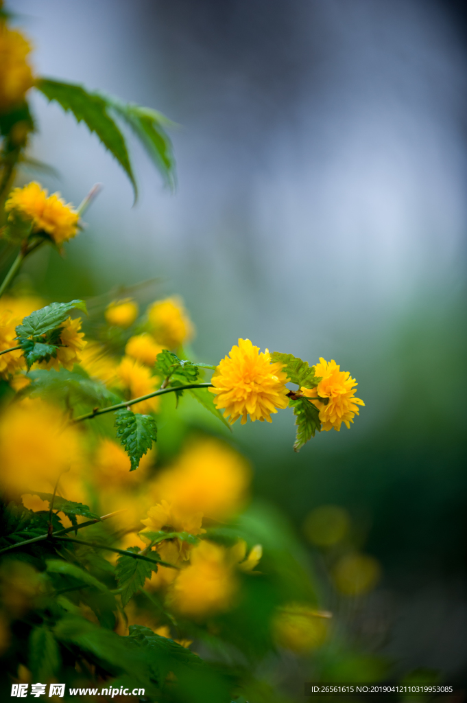 春暖花开