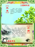 小满