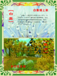 白露