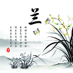 兰花