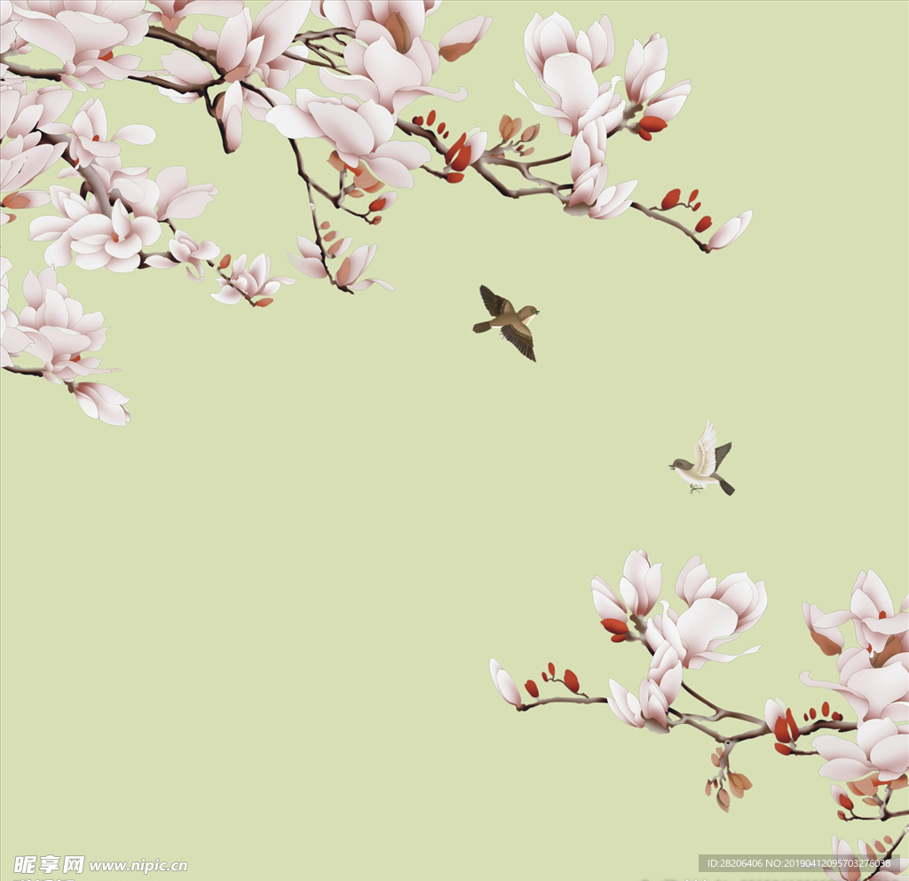 玉兰花手绘