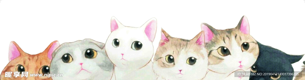 六只猫