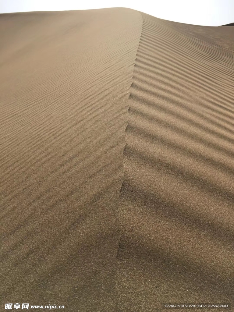 沙漠