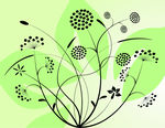欧美花纹