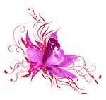 欧美花纹
