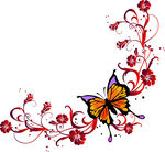 欧美花纹