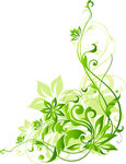 欧美花纹