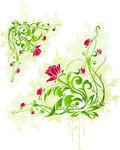 欧美花纹