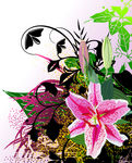 欧美花纹